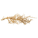 Bird Nest Wood - Medium- For Aquariums or Terrariums