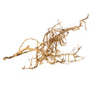 Bird Nest Wood - Small - For Aquariums or Terrariums