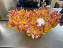 Branching Flame Coral - ORANGE/RED - Aquarium Ornament