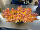 Branching Flame Coral - ORANGE/RED - Aquarium Ornament