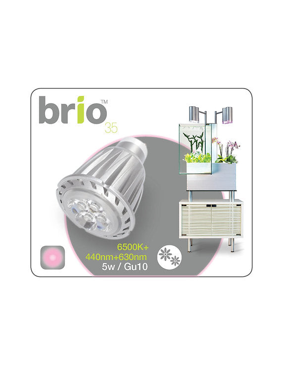 Brio 35 - LED bulb, grow light spectrum for flowers 6500K +