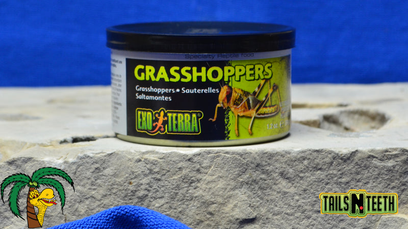 Exo Terra Canned Grasshoppers 34g - Specialty Reptile Food