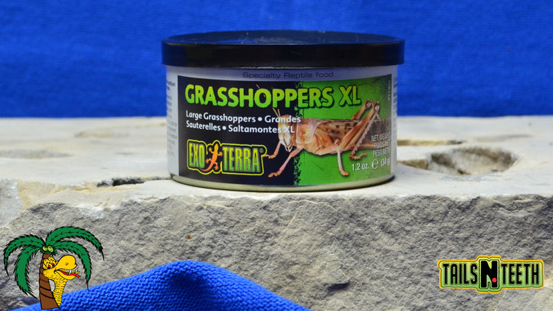 Exo Terra Canned Grasshoppers XL 34g - Specialty Reptile Food