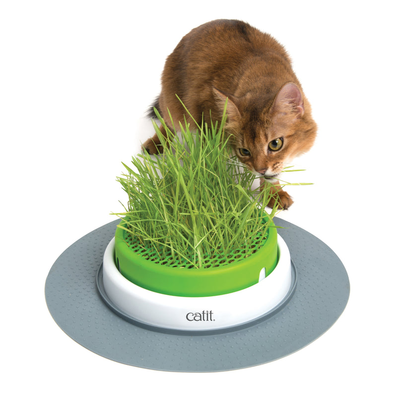 Catit Senses 2.0 Grass Planter - NEW Deeper Bowl!