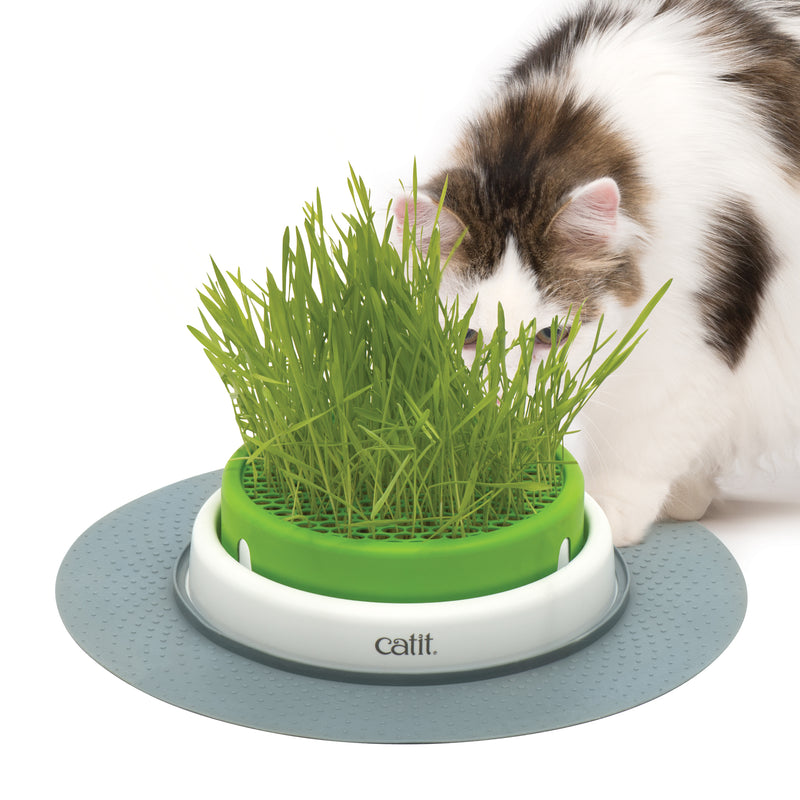 Catit Senses 2.0 Grass Planter - NEW Deeper Bowl!