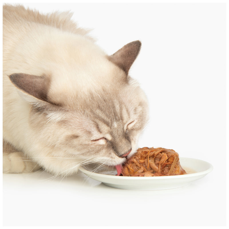 Catit Chicken Dinner with Tilapia & Green Beans - 80 g (2.8 oz)