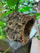 Cork Bark Tube Hide - Large 7" - 9" Length