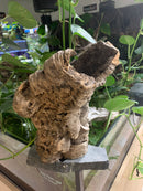 Cork Bark Tube Hide - Large 10" - 12" Length