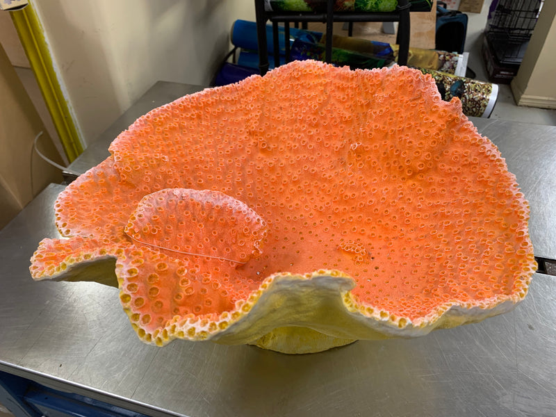 DINNER PLATE CORAL - ORANGE - Aquarium Ornament