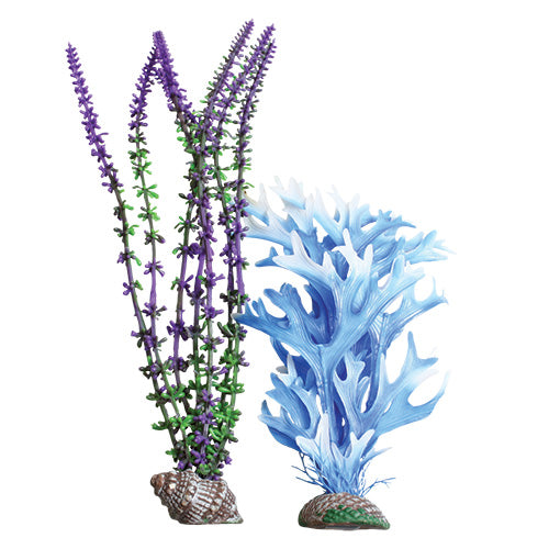 Deep Ocean Plant Combo - 2 pk