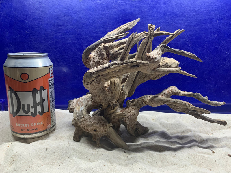 Dragon Bonsai Wood 5 - Small  9" x 5" x 7"