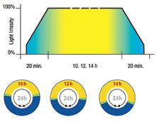 EXO TERRA LIGHT CYCLE UNIT / ELECTRONIC DIMMING TERRARIUM LAMP CONTROLLER- Light Cycle Unit T8/T10-2 x 40W PT-2245