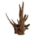 Eucalyptus Root - Nano - For Aquariums or Terrariums