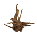 Eucalyptus Root - Small - For Aquariums or Terrariums