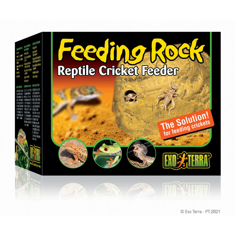 Exo Terra Feeding Rock - Easy To Use Aid For Feeding Insects To Your Reptiles