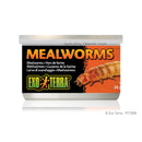 Exo Terra Mealworms - 34 g (1.2 oz) - Specialty Reptile Food