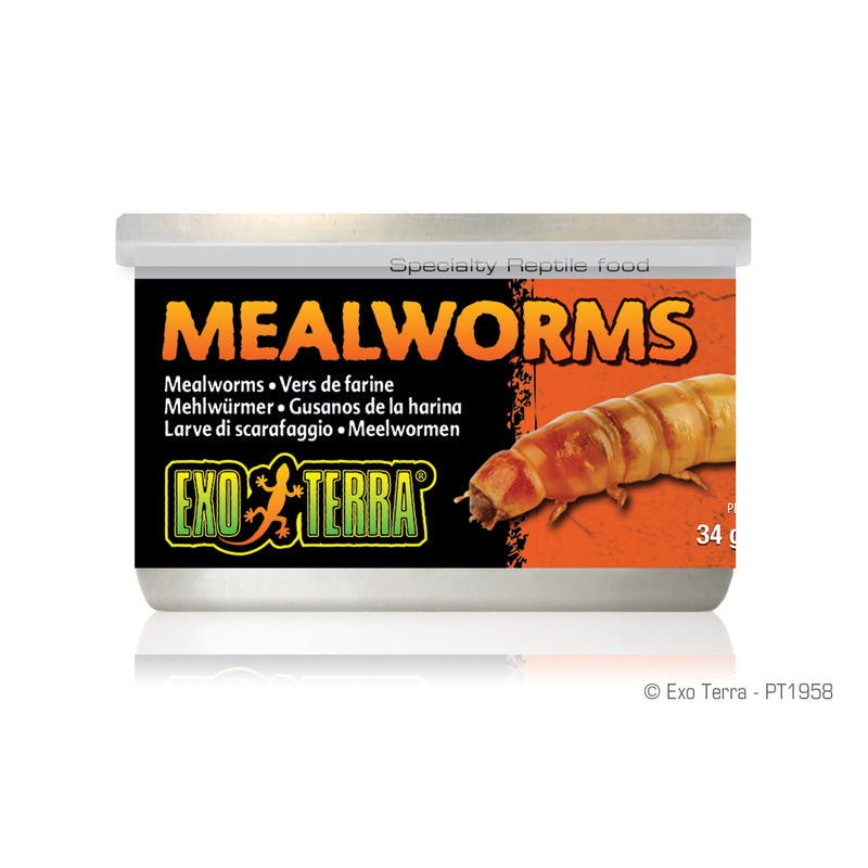 Exo Terra Mealworms - 34 g (1.2 oz) - Specialty Reptile Food