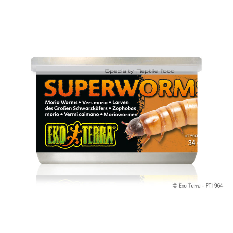 Exo Terra Canned Superworms - 34 g (1.2 oz) - Specialty Reptile Food