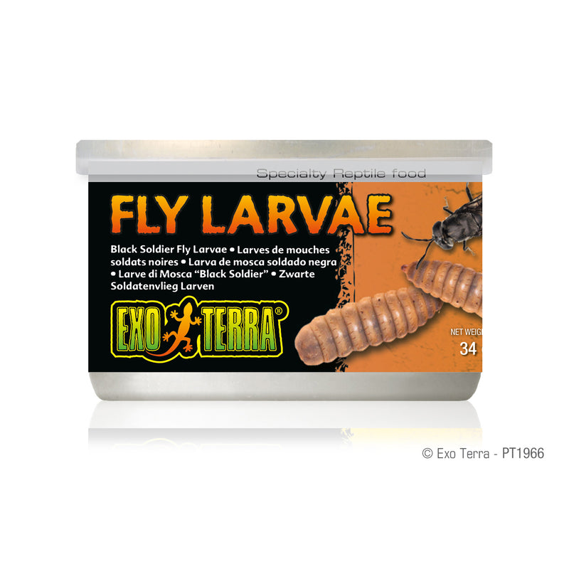 Exo Terra Canned Black Solider Fly Larvae - 34 g (1.2 oz) - Specialty Reptile Food