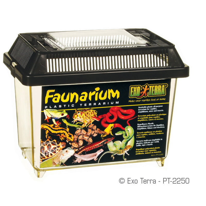 Exo Terra Faunarium - Mini 180 x 110 x 125mm, 7in x 4in x 5in