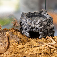 Exo Terra Corner Ceramic Cave - Medium