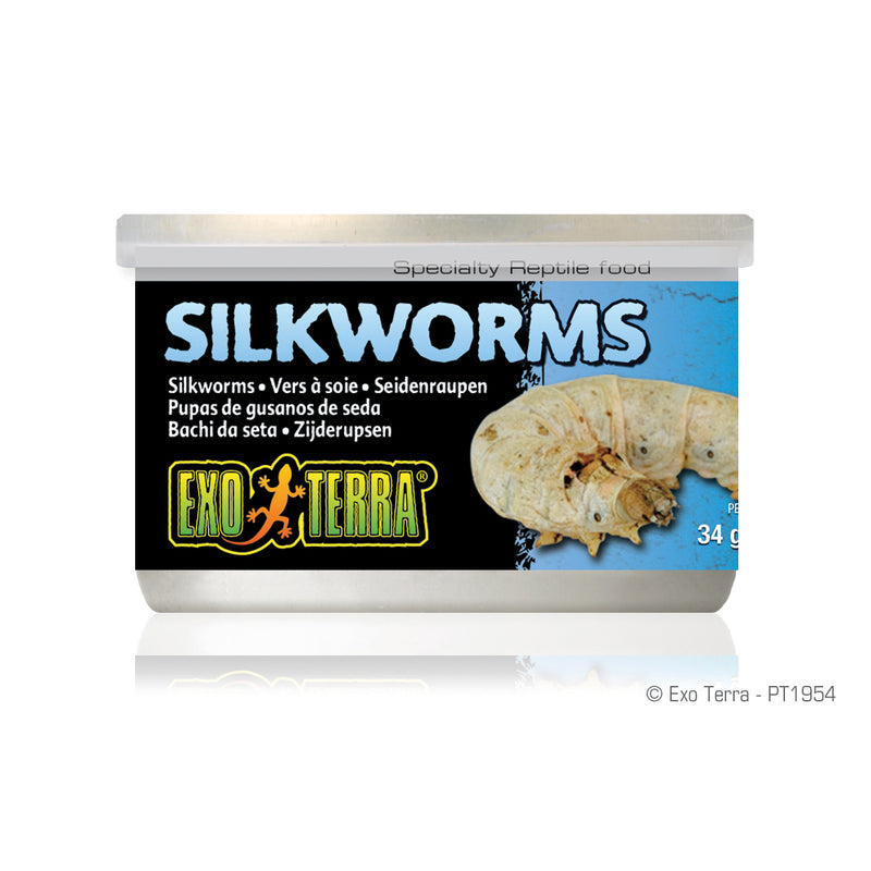 Exo Terra Silkworms (Pupea) - 34 g (1.2 oz) - Specialty Reptile Food