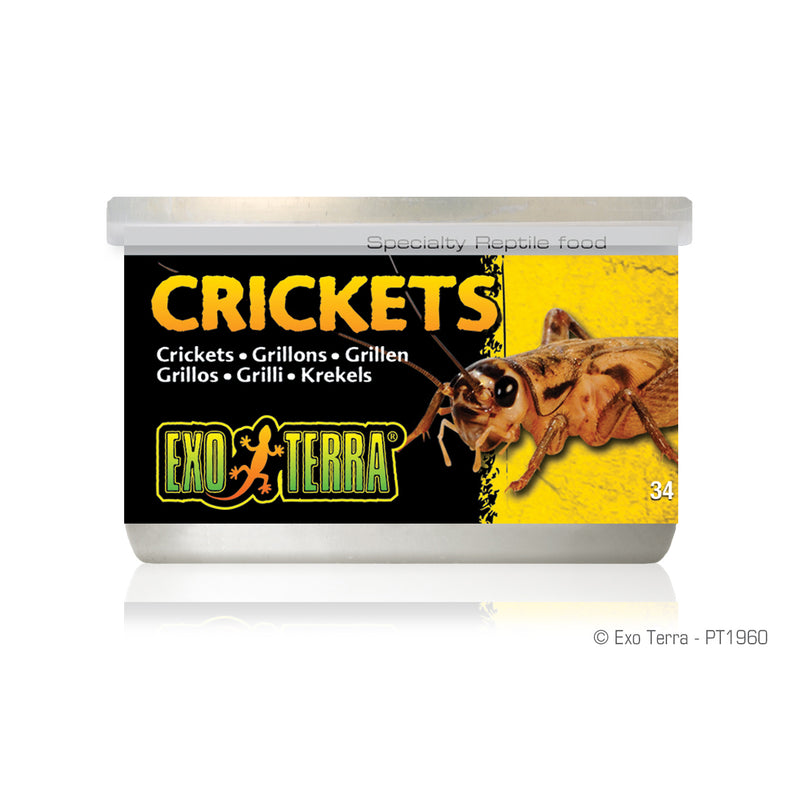 Exo Terra Canned Crickets 34g - Specialty Reptile Food