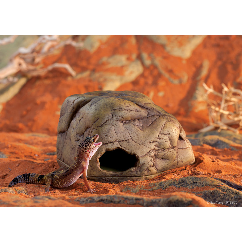 Exo Terra Gecko Cave - Medium - Secure Hiding for Reptiles