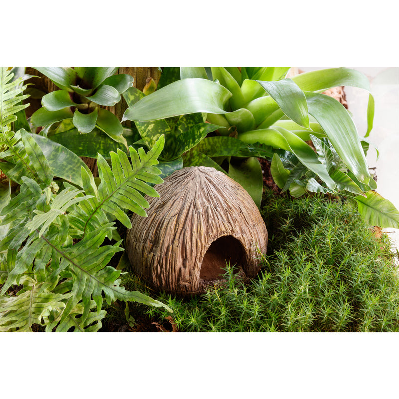 Exo Terra Coconut Cave - Nesting & Egg-Laying Hide for Reptiles