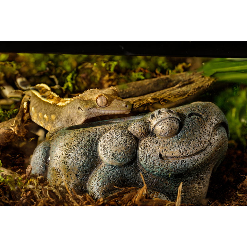 Exo Terra Aztec Frog Water Dish - 40 ml - Ancient Mesoamerican Aztec Theme