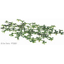 Exo Terra Floating Water Plant - Duck Weed