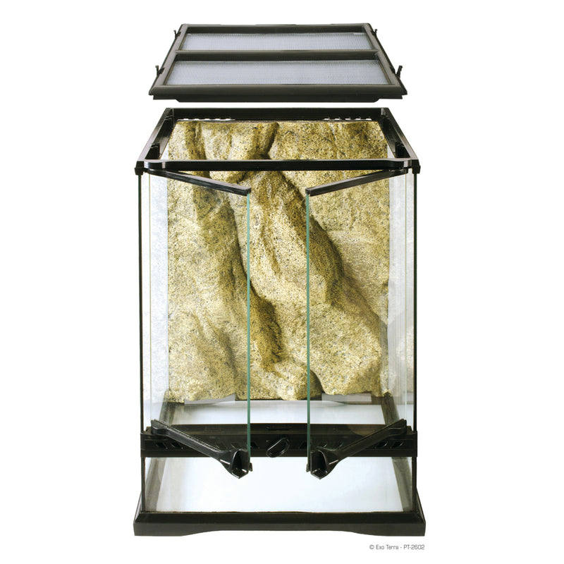 Exo Terra Mini Tall Terrarium - 30 x 30 x 45cm, 12in x 12in x 18in  PT2602