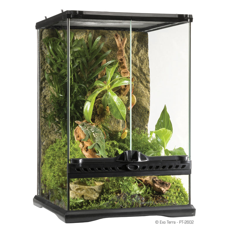 Exo Terra Mini Tall Terrarium - 30 x 30 x 45cm, 12in x 12in x 18in  PT2602