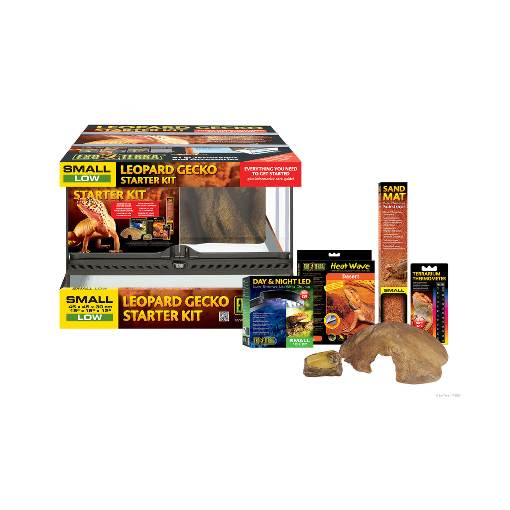 Leopard sales gecko kit