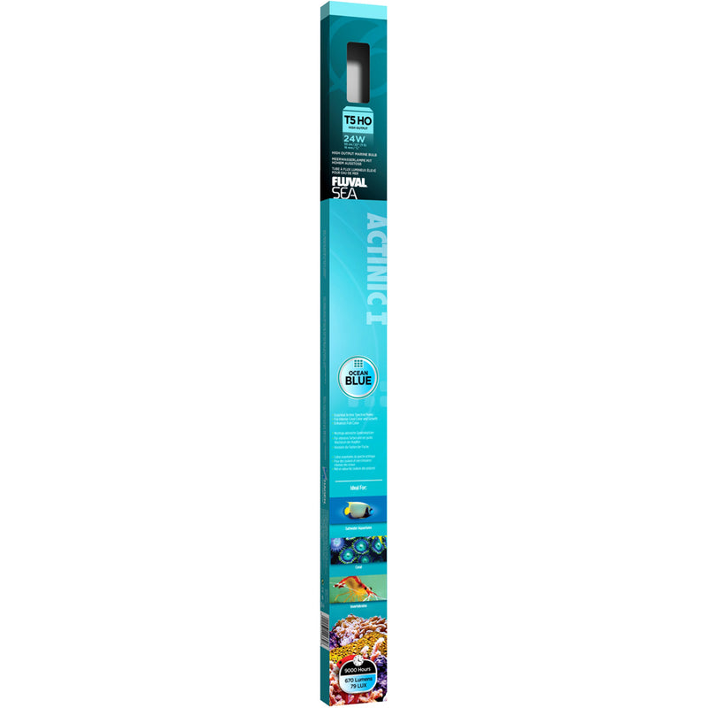 FLUVAL T5 HO Actinic Aquarium Bulb, 24 W, 22″ (55 cm)