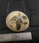 Fancy Large hermit Crab Shells