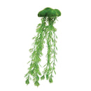 Floating Moss with Roots - Medium - Aquarium Decoration