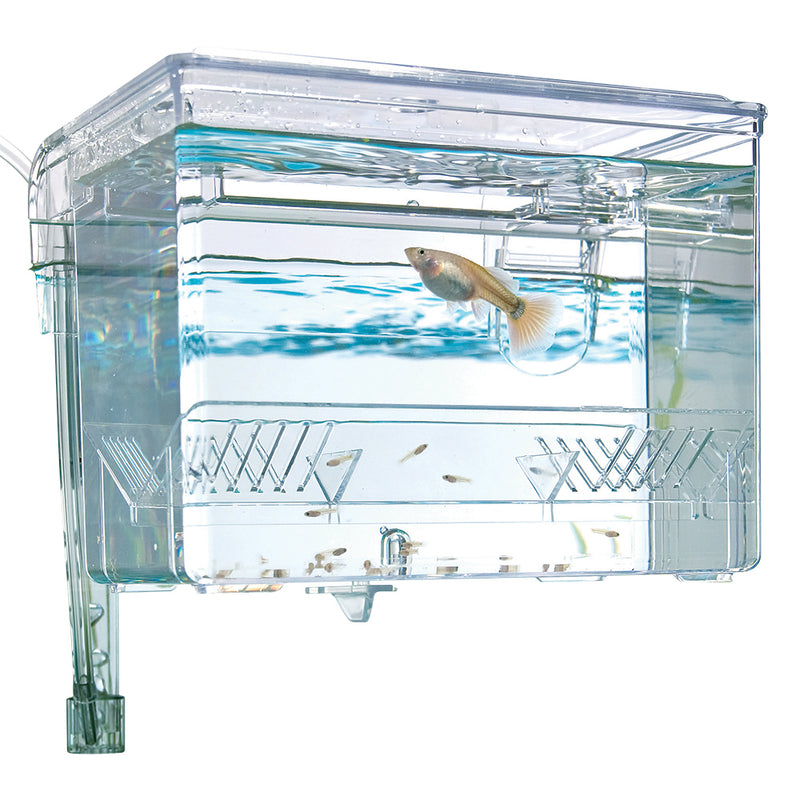 Fluval Hang-On Breeding Box - 16.5 x 12.5 x 12 cm (6.5 in L x 5 in W x 4.75 in H)