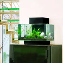 Fluval EDGE Aquarium Kit - 23 L (6 US gal) - Black