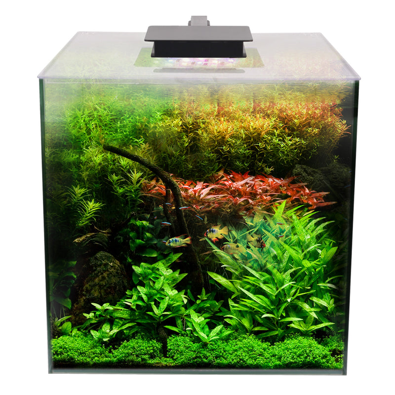 Fluval Flora Aquarium Plant Kit - 54.8 L (14.5 US gal) with co2 and Bluetooth