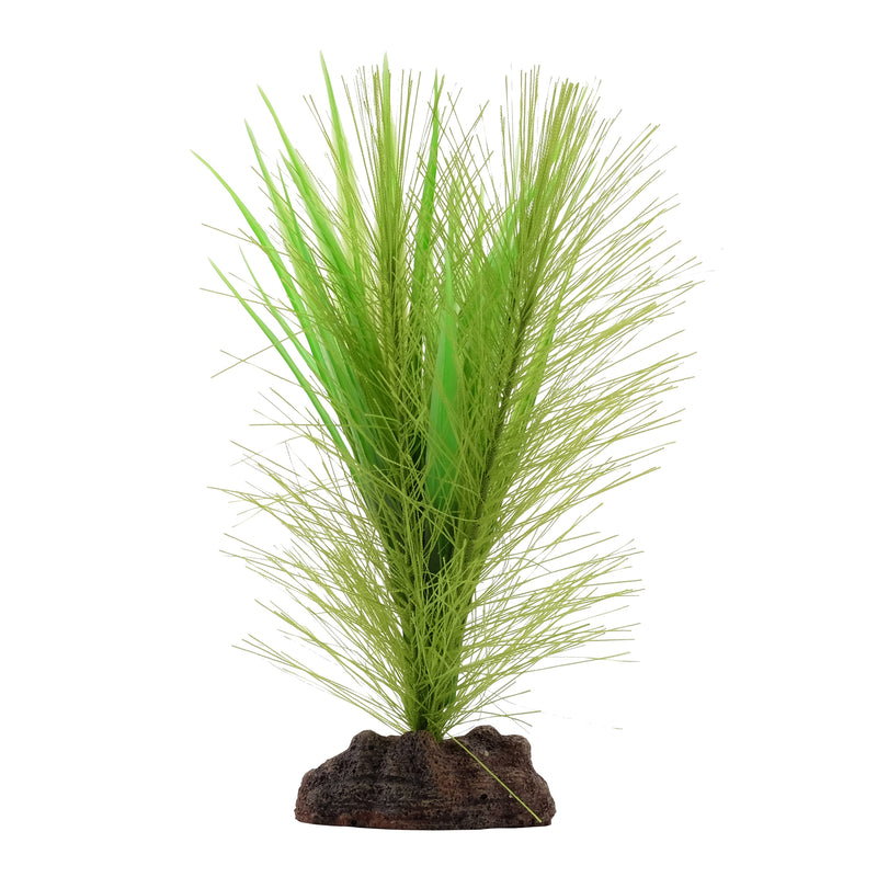 Fluval Aqualife Plant Scapes Green Parrot's Feather/ Vallisneria Plant Mix - 12.5 cm (5 in)