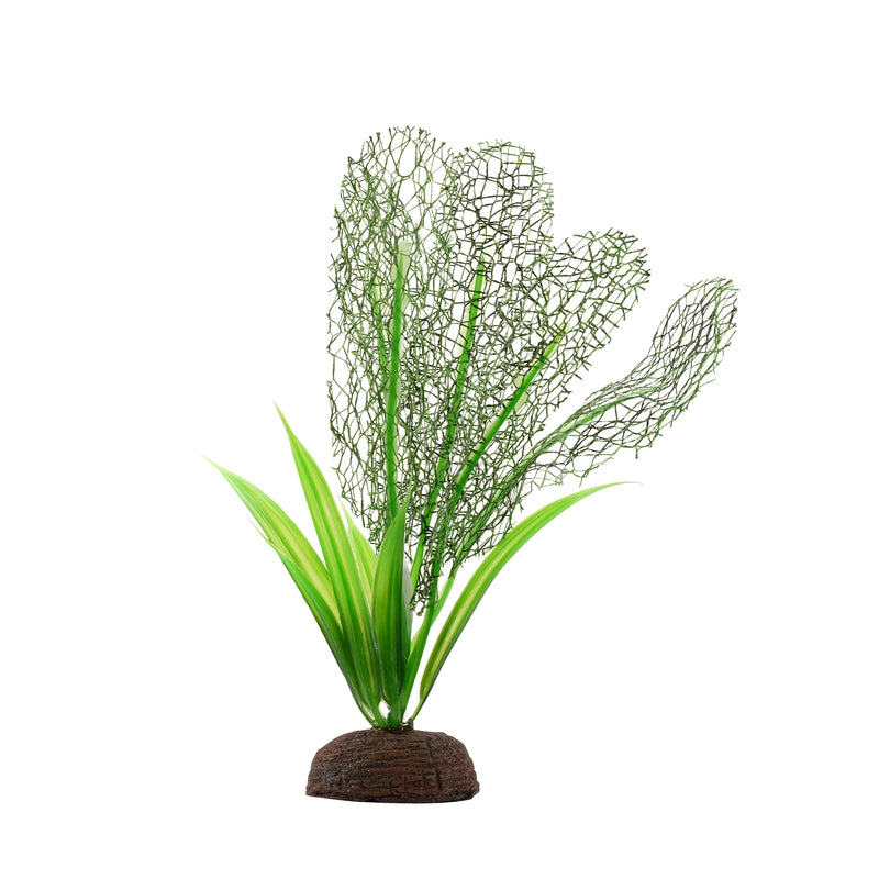 Fluval Aqualife Plant Scapes Madagascar Lace/Sagittarius Plant Mix - 12.5 cm (5 in)