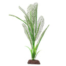 Fluval Aqualife Plant Scapes Madagascar Lace/Sagittarius Plant Mix - 30.5 cm (12 in)