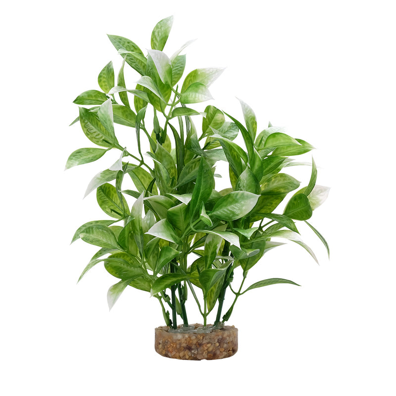 Fluval Aqualife Plant Scapes - White Tipped Ludwigia - 20 cm (8 in)