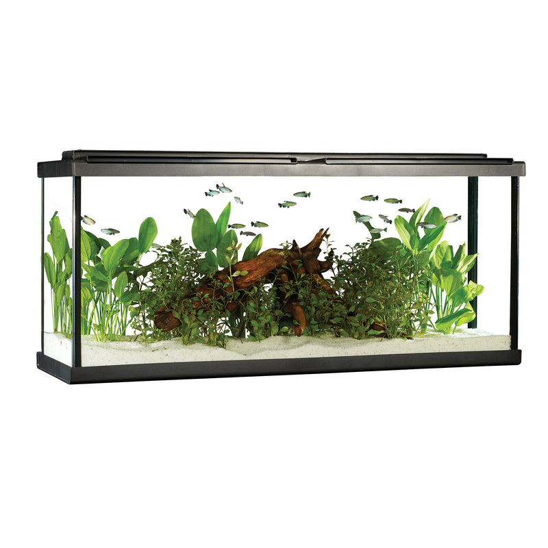 Fluval Premium Aquarium Kit with LED - 55 - 208 L (55 US Gal)