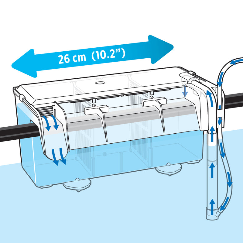 Fluval Multi-Chamber Holding & Breeding Box - 26 x 14 x 12 cm (10.25 in L x 5.5 in W x 4.75 in H)