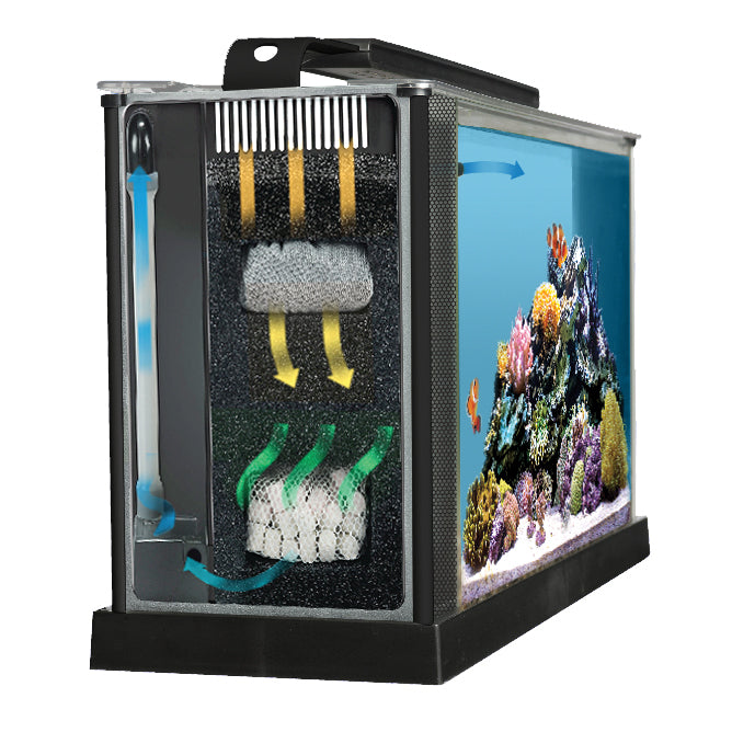 Fluval SEA EVO Marine Aquarium Kit - 19L (5 US gal) - Saltwater Glass Aquarium Kit