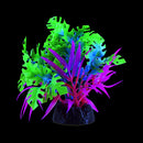 UT Glo Glowing Anubias - Blue - Small