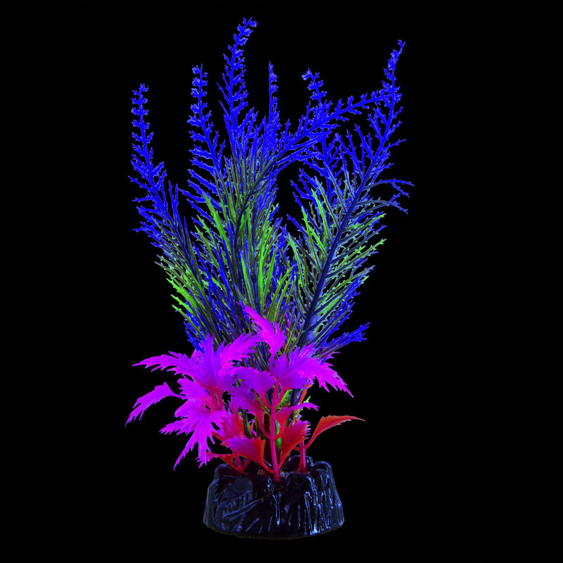 Glo Fern - Blue - Medium - "Glow in the Dark"