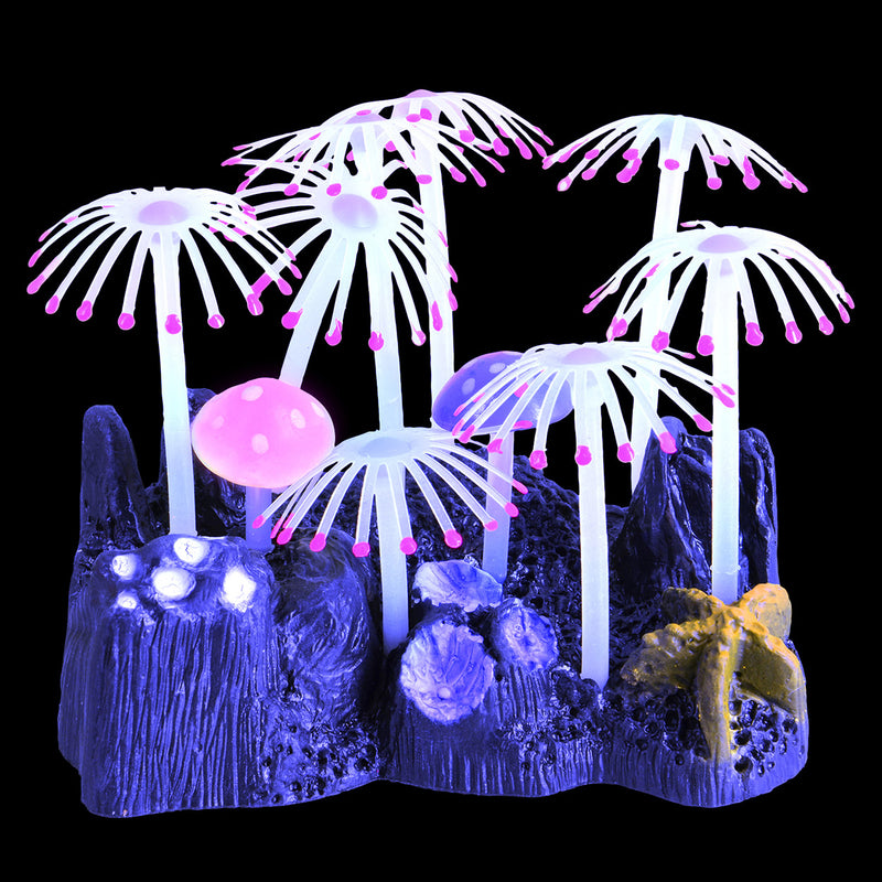 Glowing Mushroom Garden - Pink